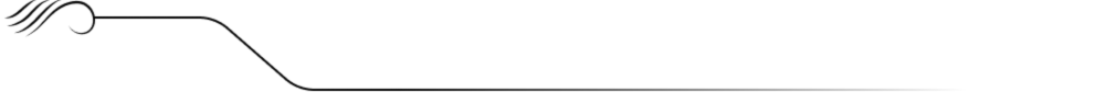 Vector graphic